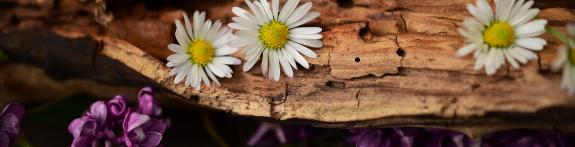 Namaste der Seelenwelt