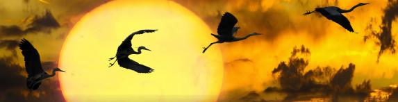 Namaste der Seelenwelt