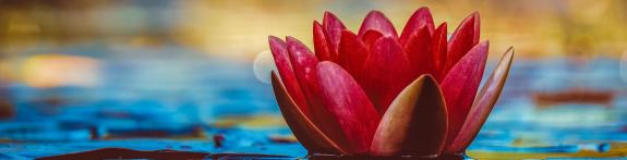 Namaste der Seelenwelt